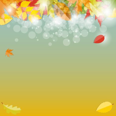 parlak sonbahar doğal arka planda kalıyor. vektör çizim
