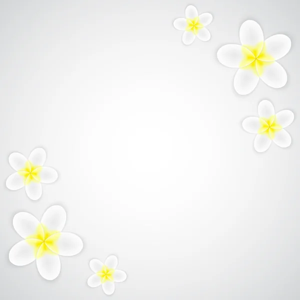 Fondo de flores — Vector de stock