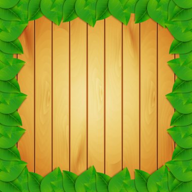 yeşil yapraklar arkaplan