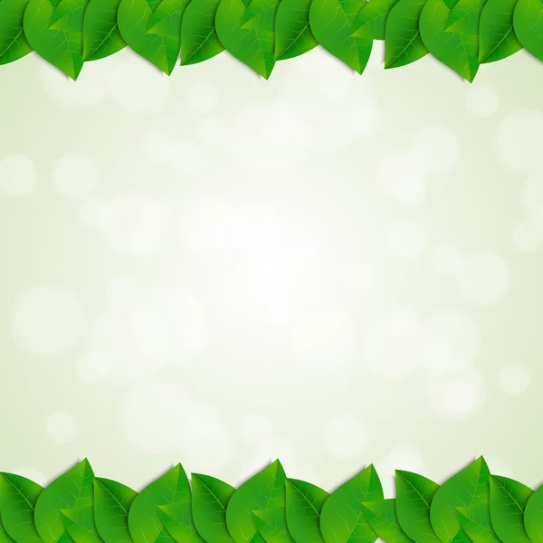 Groene bladeren achtergrond — Stockvector