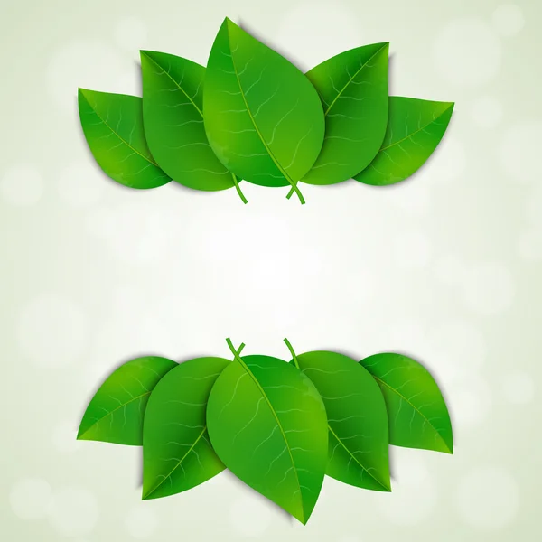 Gröna blad bakgrund — Stock vektor
