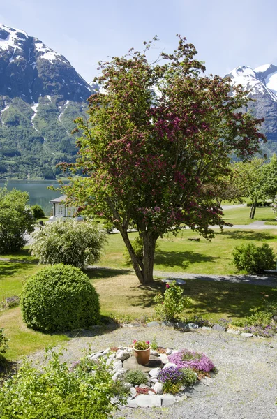 Νορβηγία - όμορφη θέα - κήπος — Φωτογραφία Αρχείου