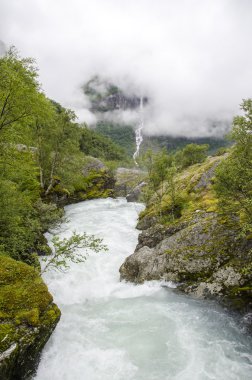 Norveç - jostedalsbreen Milli Parkı - doğa
