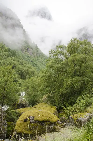 Noorwegen - nationaal park jostedalsbreen - natuur — Stockfoto