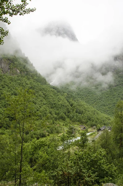 Noruega - Parque Nacional Jostedalsbreen - Naturaleza —  Fotos de Stock