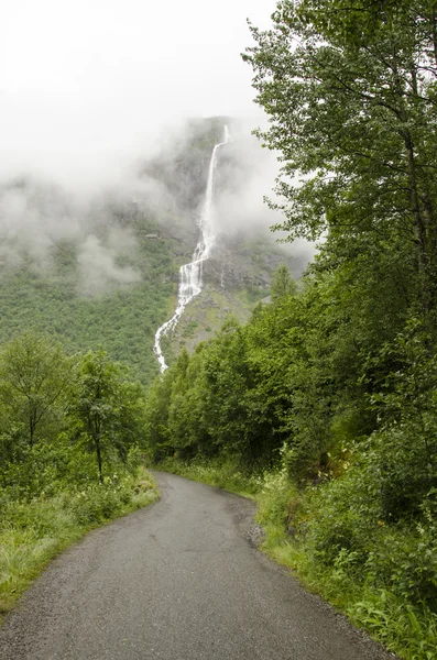 Norvegia - Parco nazionale di Jostedalsbreen - Natura — Foto Stock