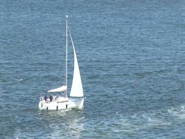 Kreuzfahrt im Hafen von Ijmuiden — Stockvideo