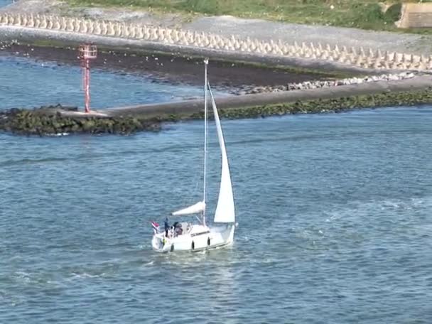 Cruising i porten av ijmuiden — Stockvideo