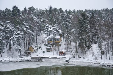 Finlandiya - doğada kış