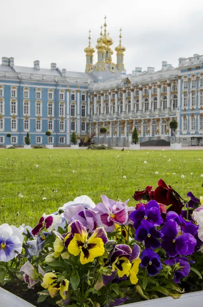 Oroszország - Catherine Palace — Stock Fotó