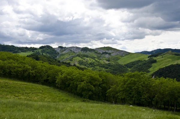 Зеленые холмы в облачный день — стоковое фото
