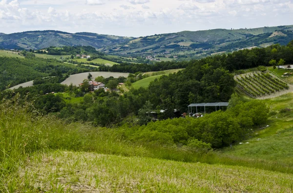 Grüne Hügel - appennini modenesi — Stockfoto