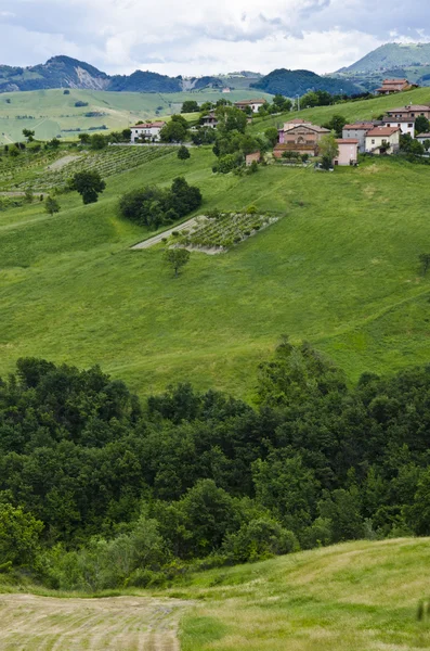 Platteland in Noord-Italië — Stockfoto