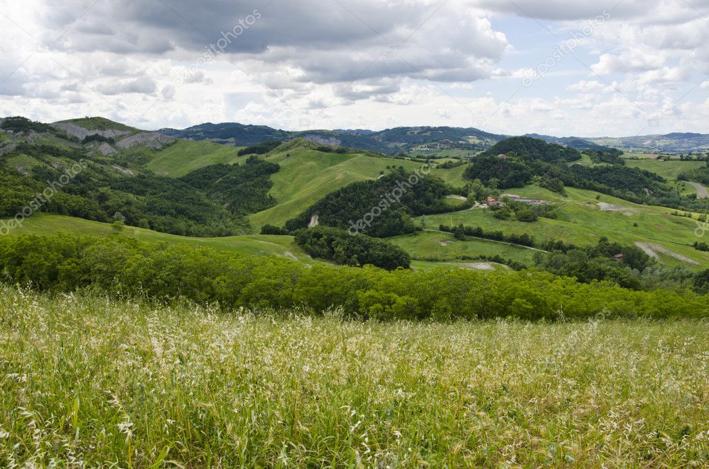 Meadows, green hills and clouds