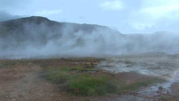 İzlanda - geysir - altın çember — Stok video