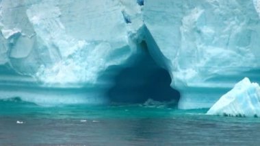 Antártica - bransfield boğaz sekmeli buzdağı - portre