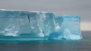 Antártica - bransfield boğaz sekmeli buzdağı - vınlamak dışarı