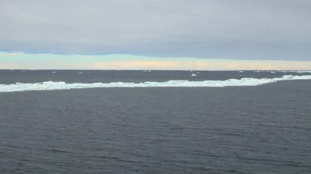 Antarctique - Péninsule Antarctique par temps nuageux — Video