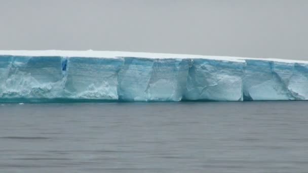 Antartica - tabellarischer Eisberg in der Meerenge von Bransfield — Stockvideo