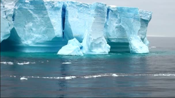 Antartica - tabelvorm ijsberg in bransfield straat — Stockvideo