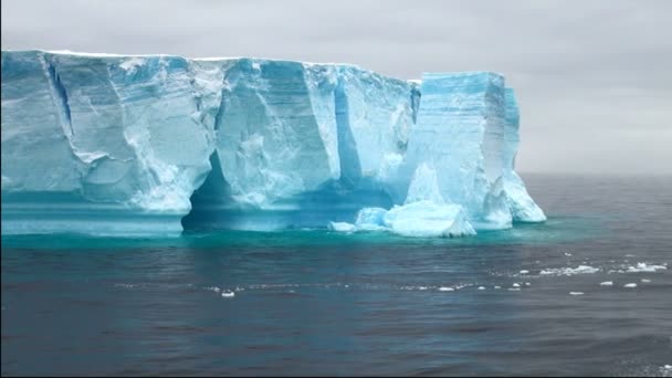 南极洲-布兰斯菲尔德海峡的桌状冰山 — 图库视频影像