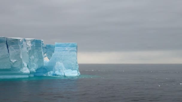 Antartica - tabelvorm ijsberg in bransfield straat — Stockvideo