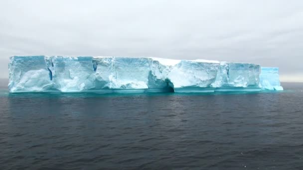 Antarctica - Antarctisch Schiereiland - tabelvorm ijsberg in bransfield straat — Stockvideo