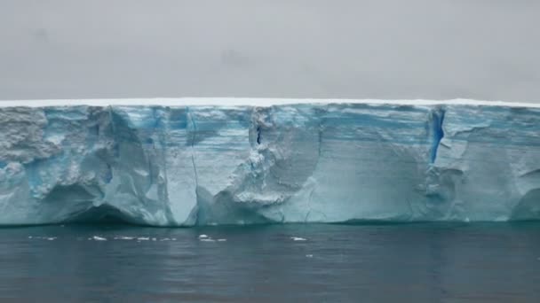 Antarctica - Antarctisch Schiereiland - tabelvorm ijsberg in bransfield straat — Stockvideo