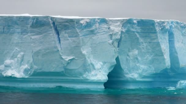 Antarctique - Péninsule Antarctique - iceberg tabulaire dans le détroit de Bransfield — Video