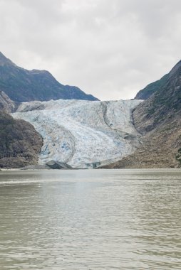 Alaska - davidson Buzulu