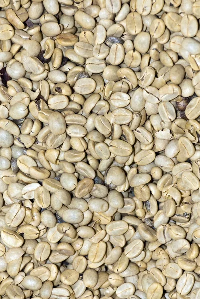Кофе - зеленая фасоль — стоковое фото