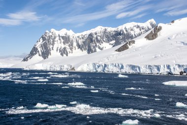 Summer in Antarctica clipart