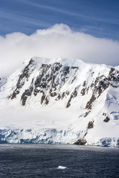 L'été en Antarctique — Photo