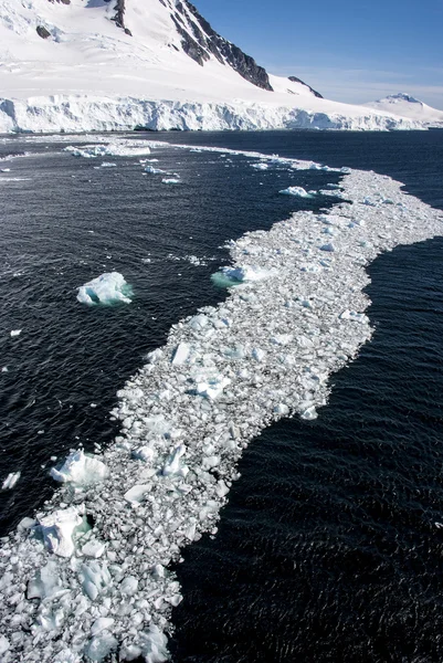 Zee-ijs voor de kust van antarctica — Stockfoto