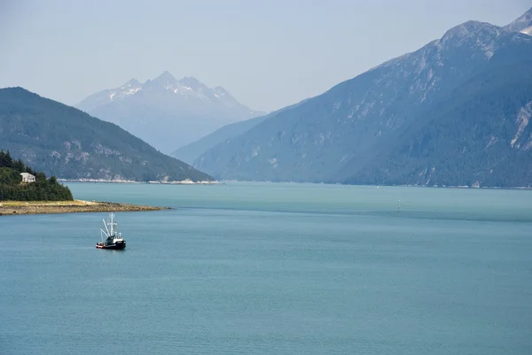 Alaska Godetevi la vista di Haines — Foto Stock