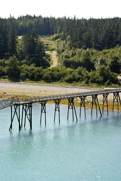 Le paysage à Haines — Photo