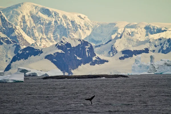 Coastline Of Antarctica With Ice Formations — Stock Photo, Image