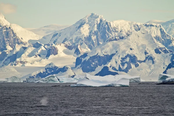 Costa de la Antártida con formaciones de hielo — Foto de Stock