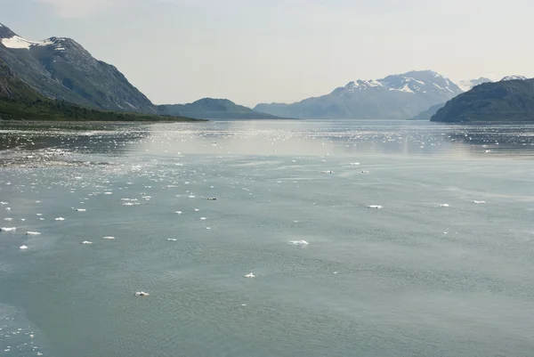 Parque Nacional Glacier Bay — Fotografia de Stock