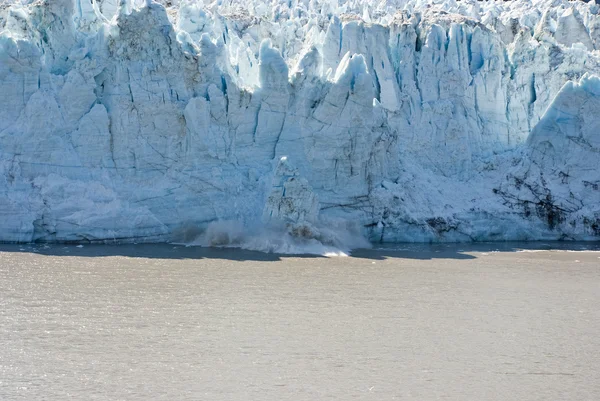 Parc national Glacier Bay — Photo