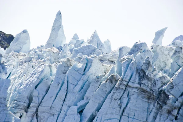 Parc national Glacier Bay — Photo