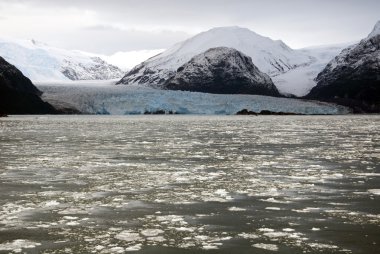 Şili - amalia buzul peyzaj
