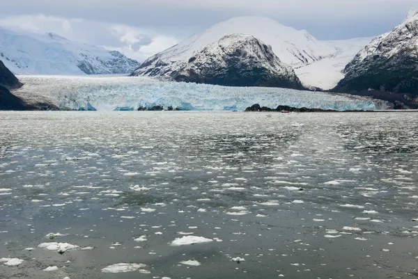 Chile - Glaciar Amalia en un día nublado — Foto de Stock