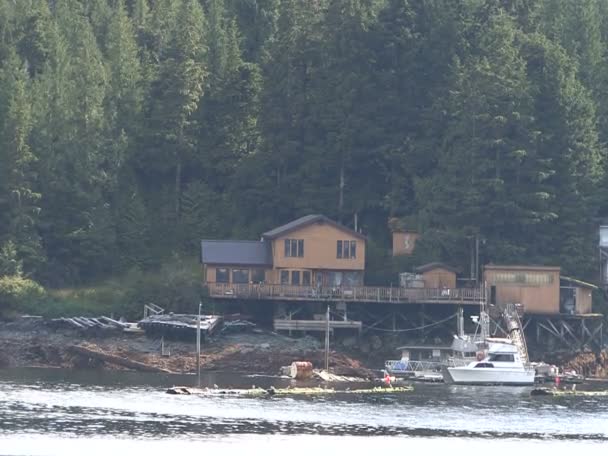 Vista de Ketchikan, Alaska Harbor - Estados Unidos — Vídeos de Stock