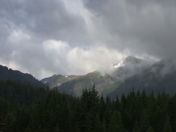 Vista de Ketchikan, Alaska Harbor - EUA — Vídeo de Stock