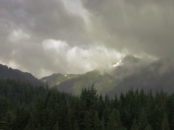 Vista de Ketchikan, Alaska Harbor - EUA — Vídeo de Stock