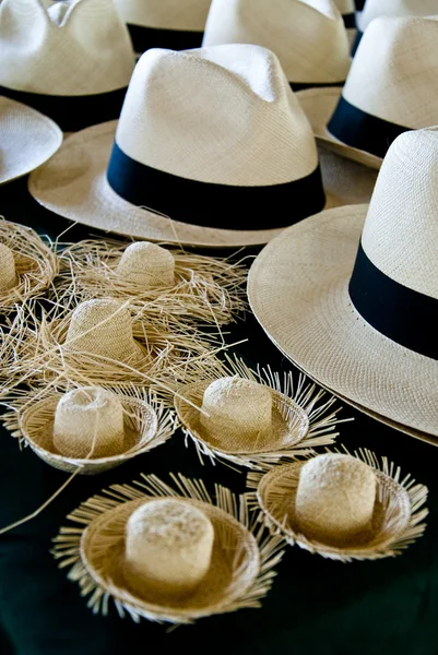 Панамские шляпы и миниатюрные Соломенные Шляпы — стоковое фото