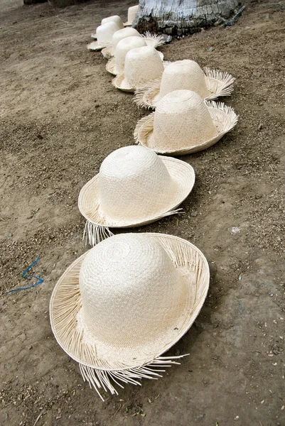Arreglo de sombreros de paja — Foto de Stock