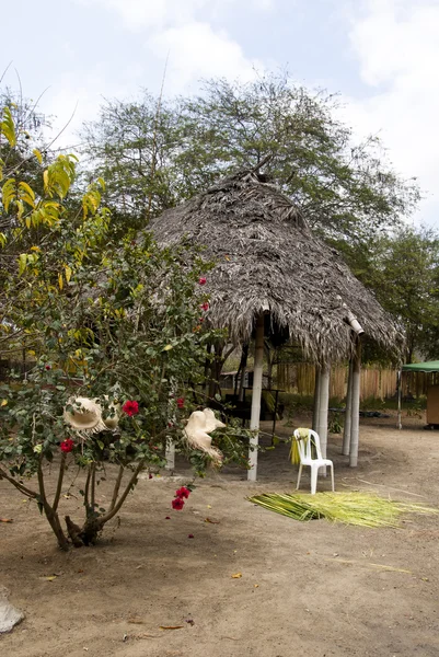 厄瓜多尔-农村 — 图库照片