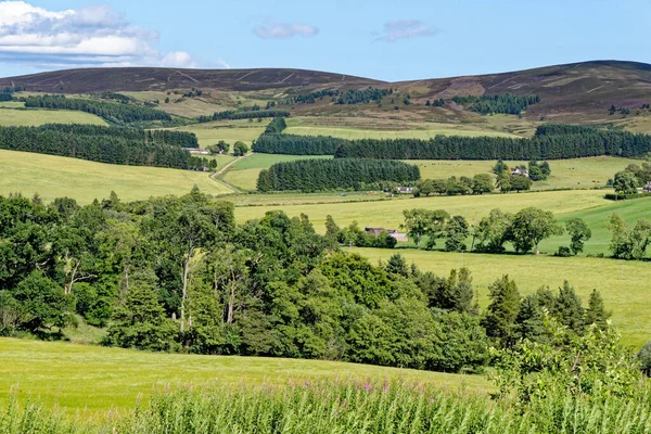 Aberdeenshire Skoçya Highlands Ngiltere Temmuz 2021 Craigievar Şatosundan Kırsal Manzara — Stok fotoğraf